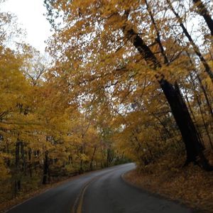 Meet your Posher, Constance